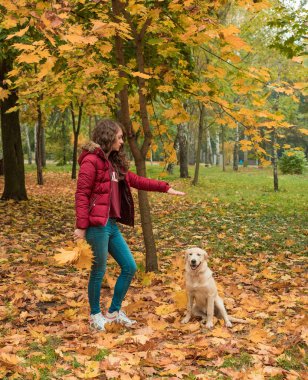 Köpeğini sonbahar Park eğitim genç kıvırcık kadın. Yaşam tarzı sonbahar fotoğraf