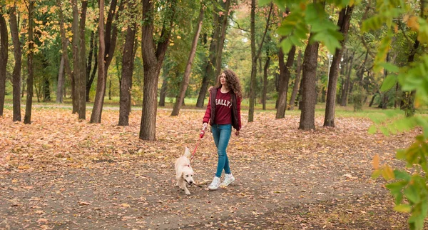 Sonbahar Park Köpeğiyle yürüyen genç bir kadın. Dostluk, evde beslenen hayvan ve insan.