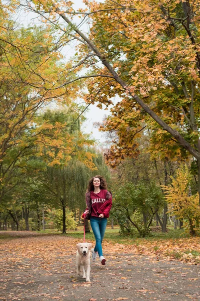Sonbahar Park Köpeğiyle yürüyen genç bir kadın. Dostluk, evde beslenen hayvan ve insan.