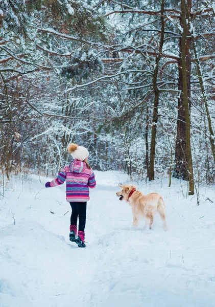 Niña Parque Invierno Paseando Con Perro Amistad Mascotas Humanos Vista — Foto de Stock