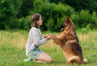 Cheerfull kadın parkta onu Alman çoban köpeği eğitim
