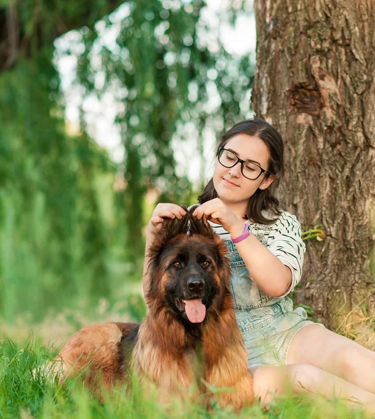 Šťastný pes a majitel těší příroda v parku — Stock fotografie