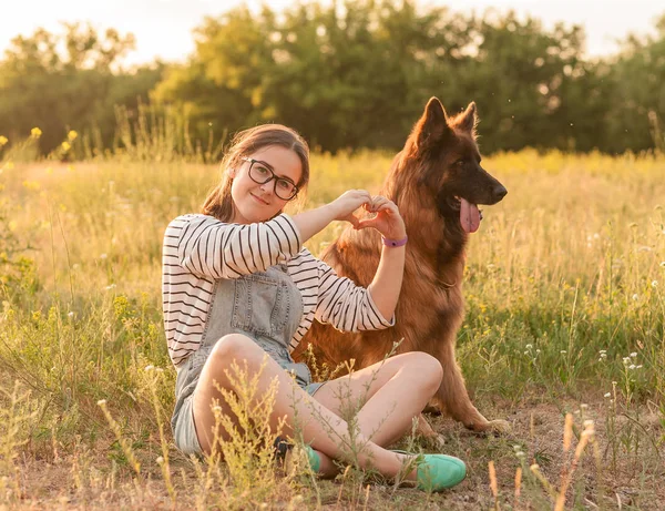 Mujer abrazar a su perro pastor alemán en el parque de verano en la puesta del sol — Foto de Stock