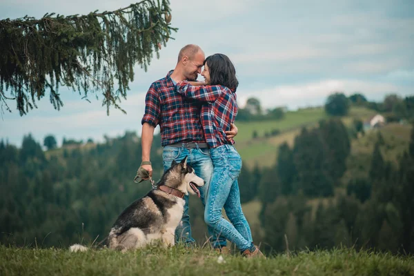 Erkek dişi husky köpek ormanda having oyunculuk ile — Stok fotoğraf