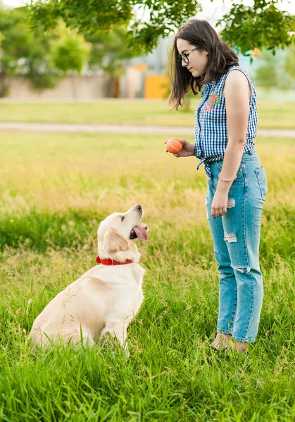 Žena, která cvičkla svého psa zlatého extraktoru v parku — Stock fotografie