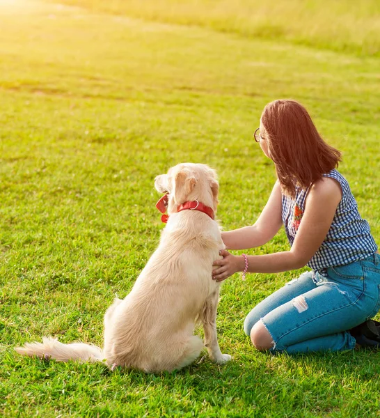 Lycklig hund och ägare njuta av naturen i parken Royaltyfria Stockfoton