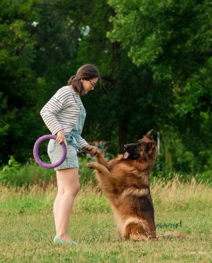 Genç kadın parkta Alman çoban köpeğini eğitiyor.