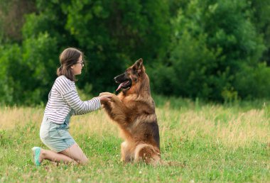 Cheerfull kadın parkta onu Alman çoban köpeği eğitim