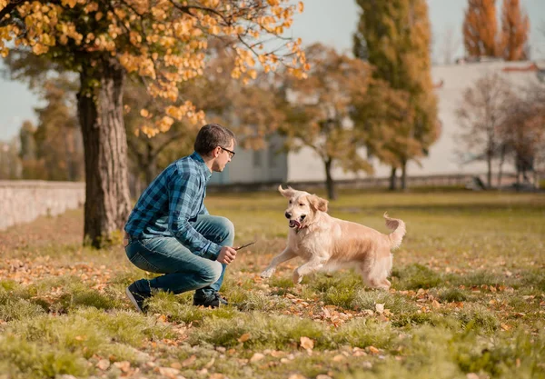 Young man with golden retriever dog in autumn outdoors — Stock Photo, Image