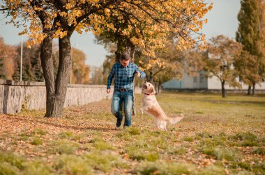 Genç adam sonbaharda açık havada altın retriever köpek sarılma