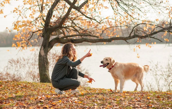 Jeune femme jouant avec son chien au parc — Photo