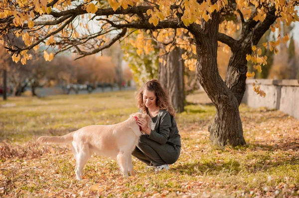 Closeup of curly woman sitting with her dog in autumn leaves outdoors — Stock Photo, Image