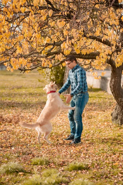 Kobieta z psem Golden Retriever zabawy na jesieni wakacje. — Zdjęcie stockowe