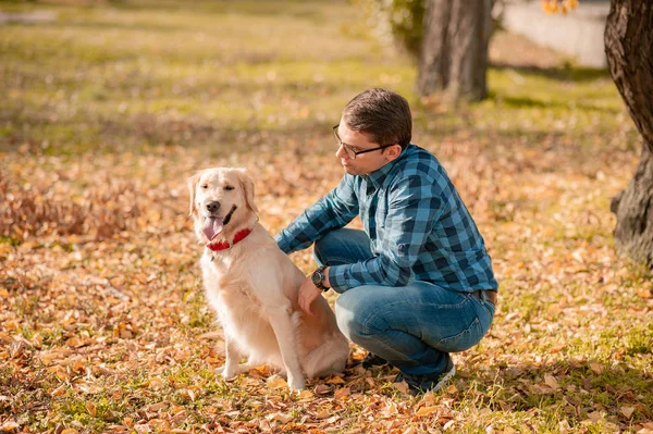 Femelle avec chien golden retriever s'amuser en vacances d'automne . — Photo