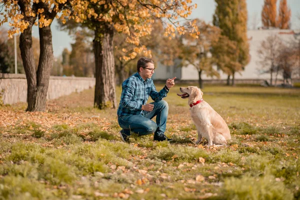 Jeune homme étreignant chien golden retriever en automne à l'extérieur — Photo