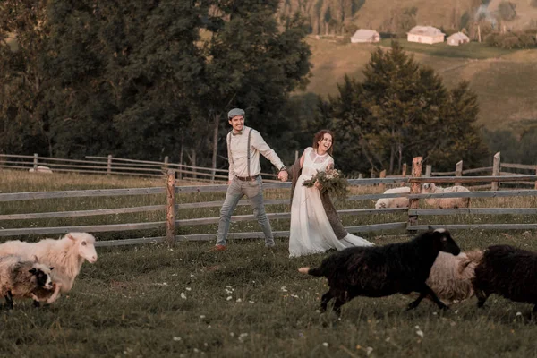 ピークの丘の上の馬と牧場で新郎新婦のヴィンテージ結婚式 — ストック写真
