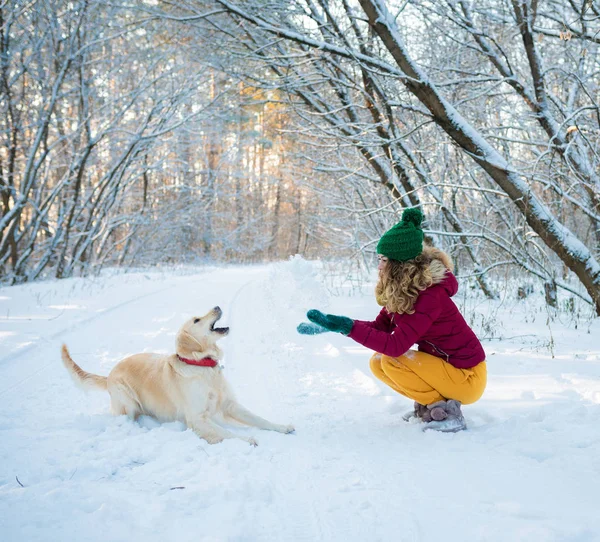 Νεαρή όμορφη γυναίκα παίζοντας Γκόλντεν Ριτρίβερ σκυλί στο χιόνι — Φωτογραφία Αρχείου