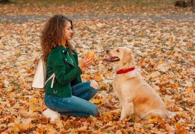 İtaatkar Golden Retriever köpeği ve sahibinin pençe komutası uygulaması. Mutluluk ve dostluk. Evcil hayvan ve kadın. Sonbahar rengi