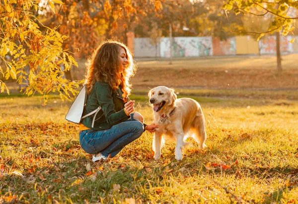 Счастливая Женщина Отдыхает Своей Собакой Золотистой Ретривер Спортсменке Нравится Проводить — стоковое фото