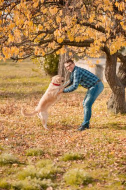 Sarı yapraklar üzerinde köpeği iyi eğitmişsin..