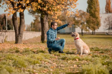 Yakışıklı adam sarı yapraklar üzerine köpeği eğitiyor..