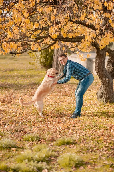 Sarı yapraklar üzerinde köpeği iyi eğitmişsin..