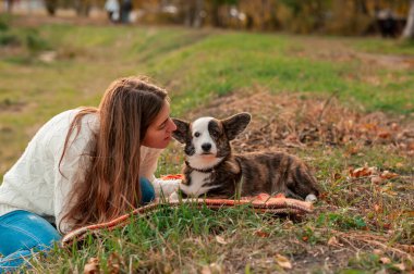 Sonbahar parkında Galli Corgi köpeğine sarılan genç bir kadının portresi. Sarı yapraklı arka plan. Sonbahar yaprakları içinde köpeğiyle oturan genç bir bayan..