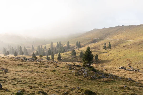Niebla Por Mañana Los Alpes Eslovenos Famosa Ubicación Turística Logarska — Foto de Stock