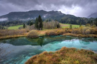 Sava Dolinka nehir parkı Slovenya Alpleri 'nde Sava nehrinin kaynağının bulunduğu yerde