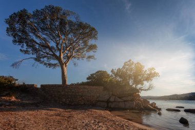 Fransa, Korsika 'daki Palombaggia plajı