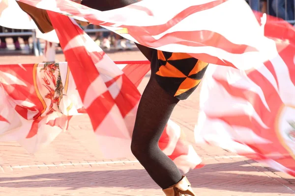 Tävlingar Flagga Vacklar Och Parad Distrikten — Stockfoto