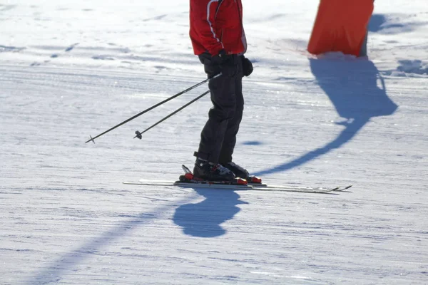 Ski Athlete Arrives End Descent — Stock Photo, Image