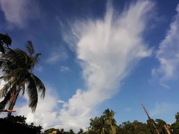 ココナッツの木の上の雲の景色 — ストック写真