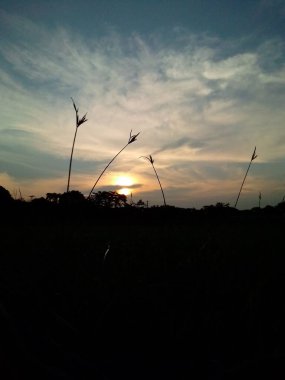 Sahada gün batımı 