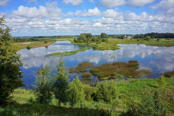 Letni panoramiczny widok na przyrodę w Shuya nad rzeką Tezą. — Zdjęcie stockowe