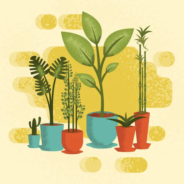 Vector Illustration Using Texture Flower Pots Different Plants — Stock Vector