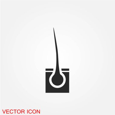 Saç folikülü kutsal kişilerin resmi, vektör çizim ile 