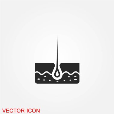 Saç folikülü kutsal kişilerin resmi, vektör çizim ile 