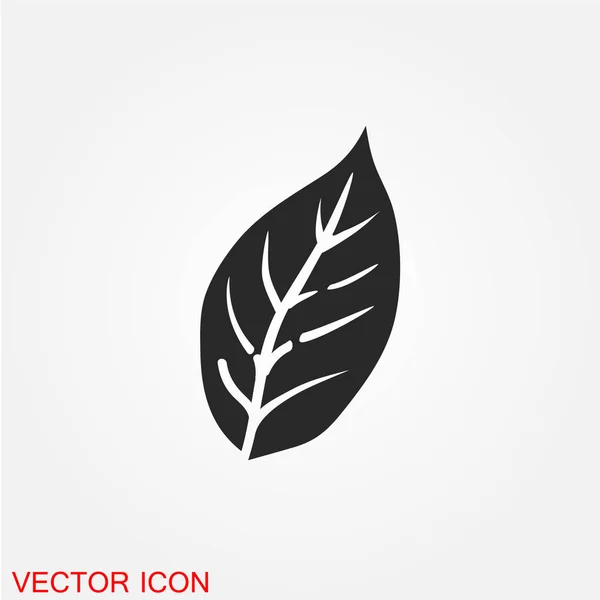 Baumblatt Flaches Symbol Isoliert Auf Weißem Hintergrund Vektor Illustration — Stockvektor