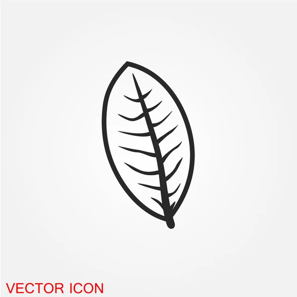 Baumblatt Flaches Symbol Isoliert Auf Weißem Hintergrund Vektor Illustration — Stockvektor