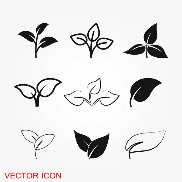 Vecteur Icônes Foliaires Isolé Sur Fond Feuilles Arbres Plantes — Image vectorielle