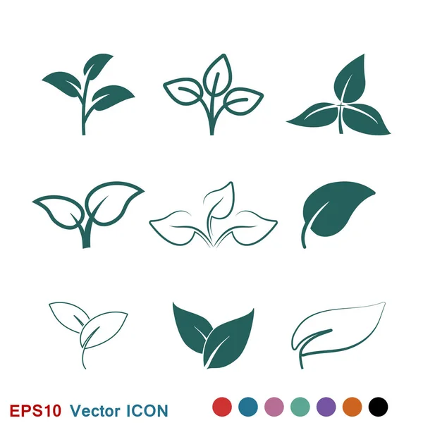 Blatt-Ikone. Element Ökologie bio organisch, Logo, Abbildung, Vektorzeichensymbol für Design — Stockvektor