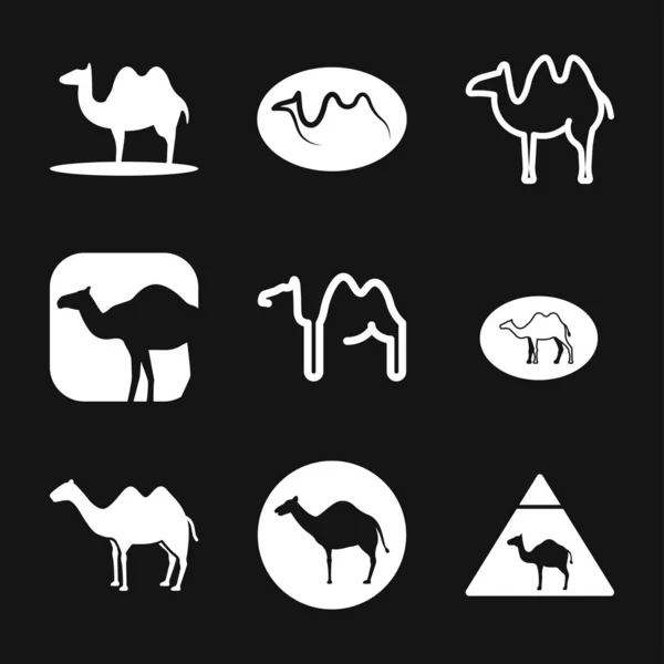 Icône de chameau. Symbole vectoriel Animal africain pour web et design . — Image vectorielle