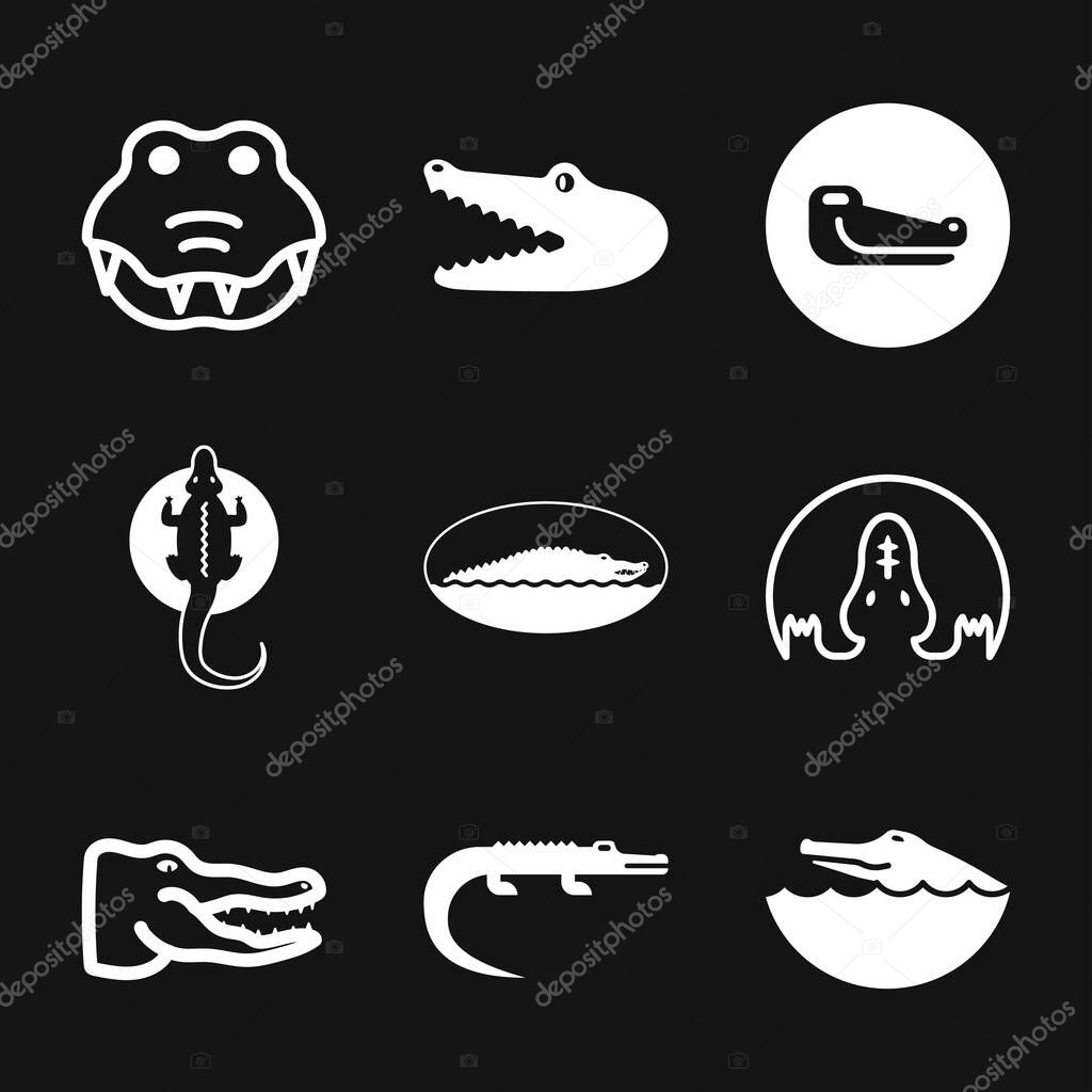 Crocodile icon. zoo animal flat design. vector illustration