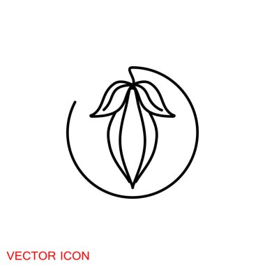 Kakao ikonu, marşmelov sembollü çikolata.