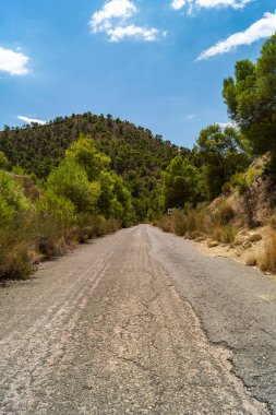 Villajoyosa 'daki (Alicante, İspanya) Amadorio rezervuarına giden dağın ortasındaki Paved yolu. Güneşli bir günde, beyaz bulutların ve yeşil doğanın huzur verdiği güzel manzaralar..