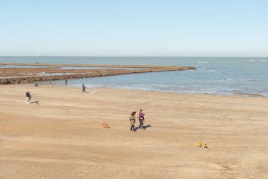 Chipiona, İspanya; 18 Ocak 2025: Chipiona 'da insanlar köpeklerini gezdiriyorlar (İspanya).