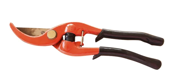 Red prunning shears for trees — Stock Photo, Image