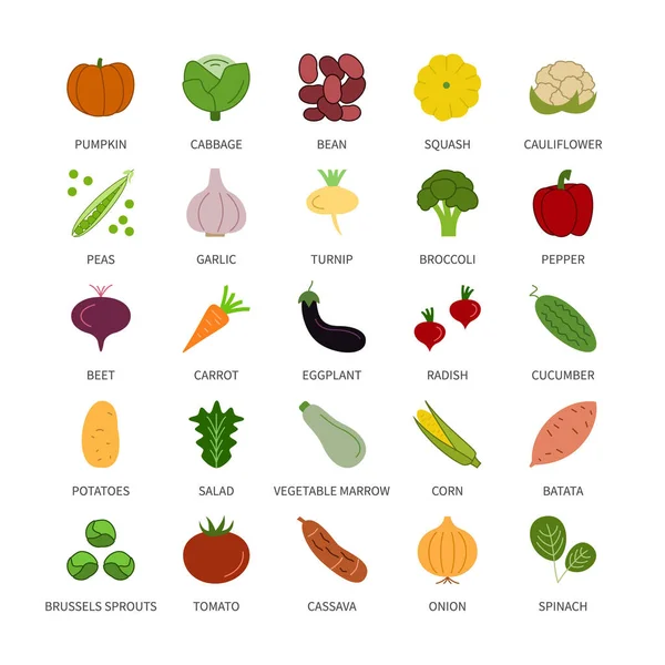 Sebze logosu doğal organik anahat vegan iş analizi renk vektörü kümesi. Tasarım elementleri sebzeler taze sağlıklı gıda vektör sembolü çizgi simgeleri para ticaret sembolleri seti.
