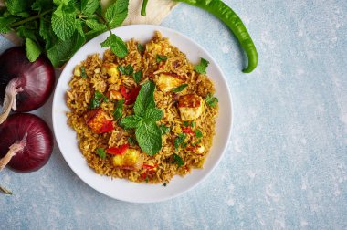 Mavi arka planda vejetaryen paneer biryani. Paneer biryani, paneer, basmati pilavı, masala, chili, naneli geleneksel Hint mutfağı. Boşluğu kopyala